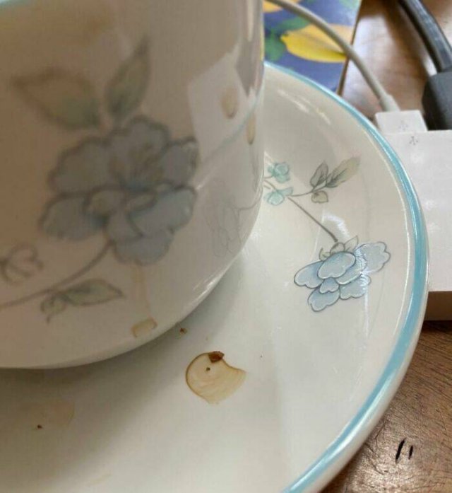 Accidental Masterpieces (46 pics) Accidental Masterpieces (46 pics)