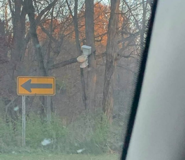 What Is Going On Here? (42 pics)