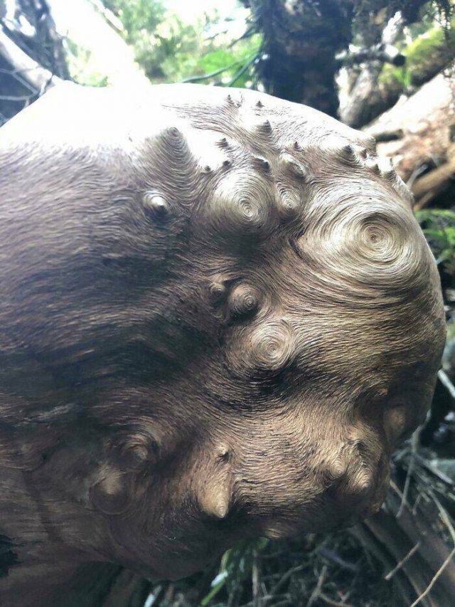 Accidental Masterpieces (46 pics) Accidental Masterpieces (46 pics)