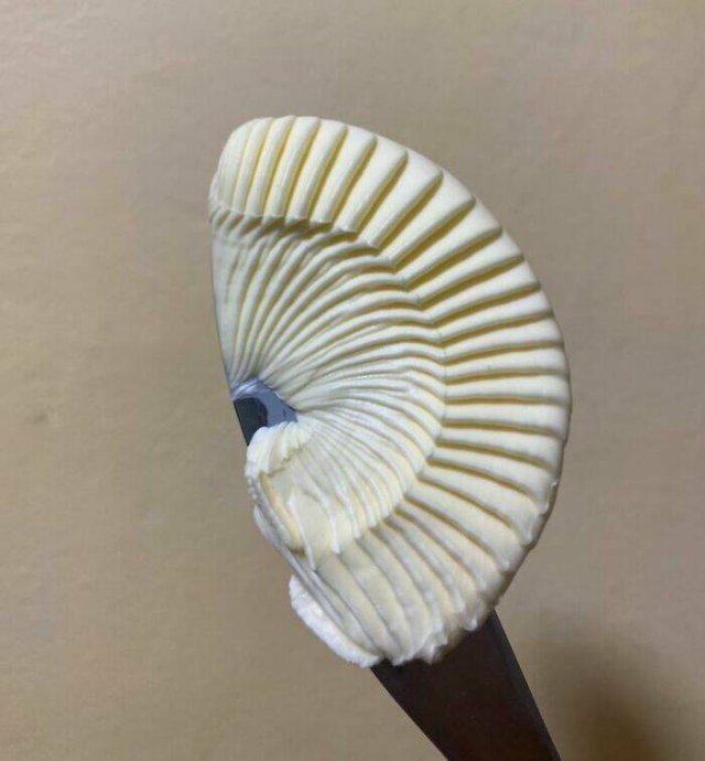 Accidental Masterpieces (46 pics) Accidental Masterpieces (46 pics)
