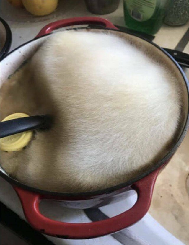What Is Going On Here? (42 pics)