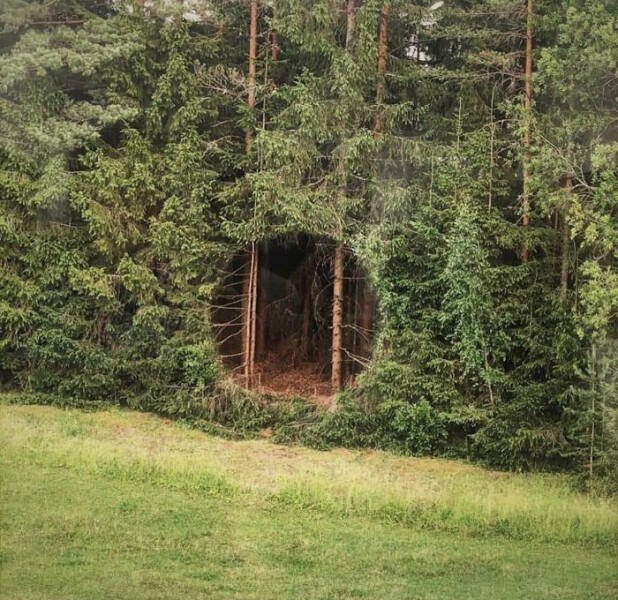 What Is Going On Here? (42 pics)