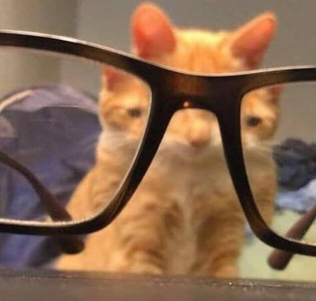 What Is Going On Here? (42 pics)