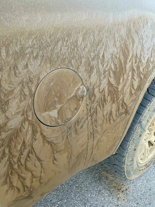 Accidental Masterpieces (46 pics)