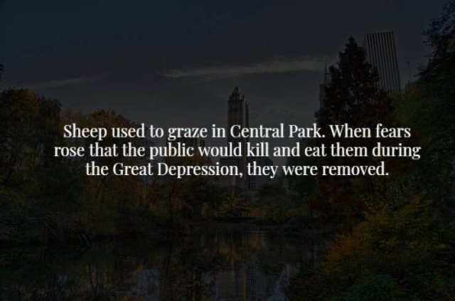 Creepy Facts (29 pics)