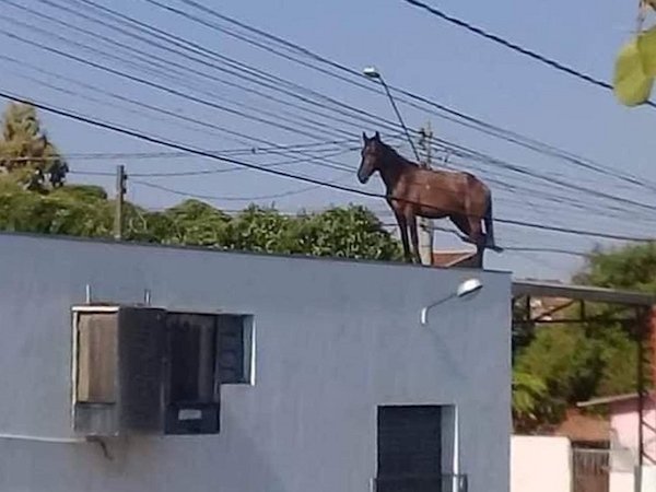 Odd Finds And Situations (30 pics)