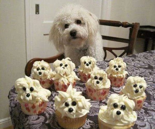 Odd Finds And Situations (30 pics)