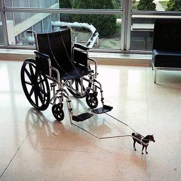 Odd Finds And Situations (30 pics)