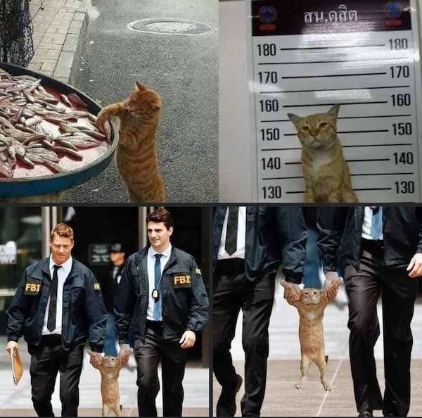 Odd Finds And Situations (30 pics)