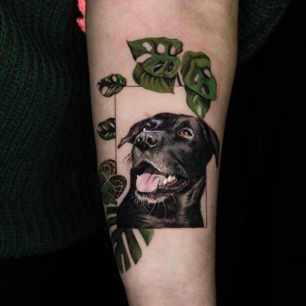 Cool Tattoos (27 pics)