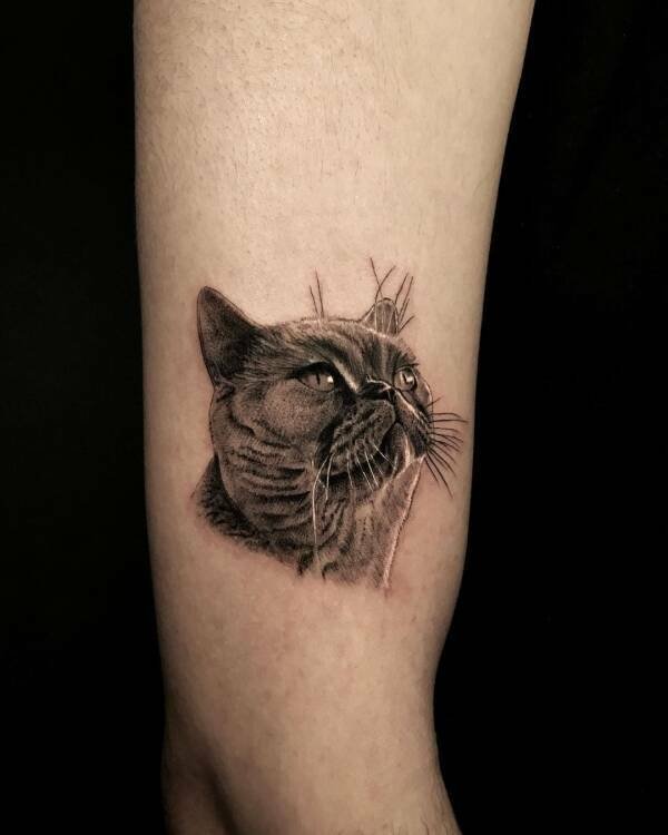 Cool Tattoos (27 pics)