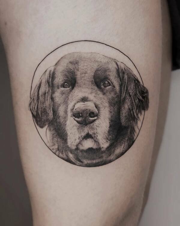 Cool Tattoos (27 pics)
