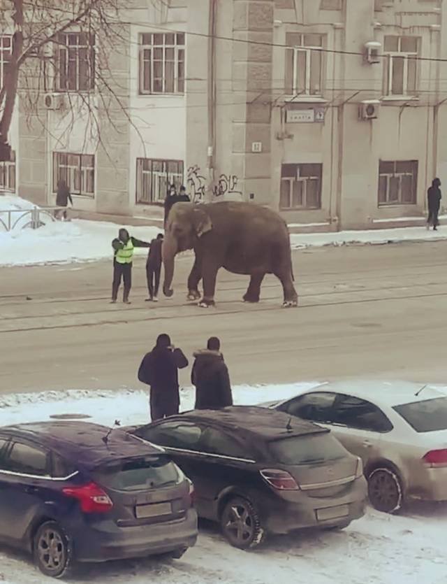 Strange Photos From Russia (41 pics)