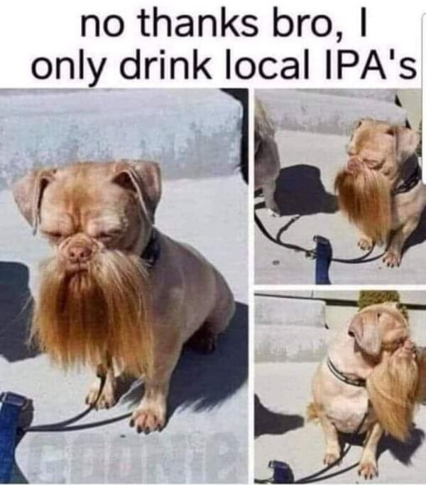 Cute Dogs (29 pics)