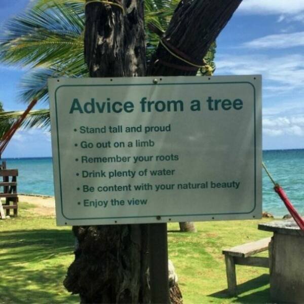 Useful Advices (47 pics)