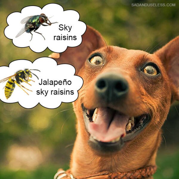 Funny Memes (19 pics)
