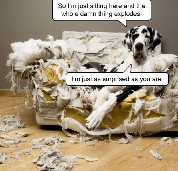 Funny Memes (19 pics)