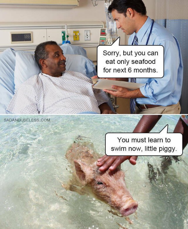 Funny Memes (19 pics)