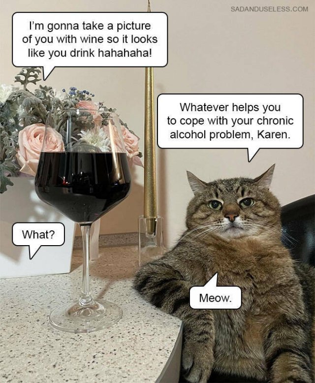 Funny Memes (19 pics)