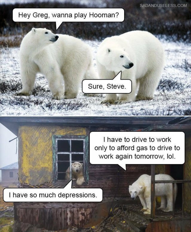 Funny Memes (19 pics)