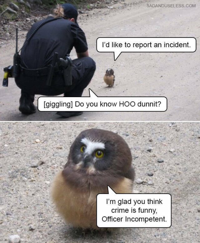 Funny Memes (19 pics)
