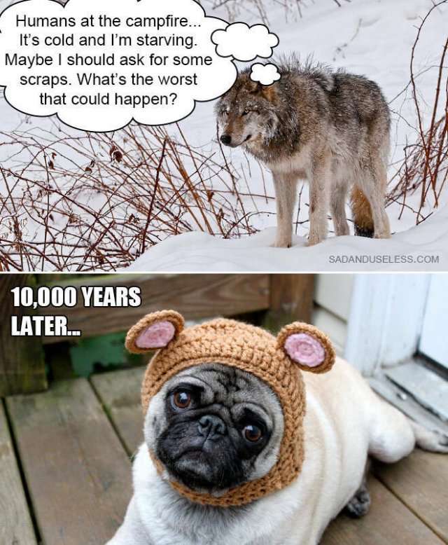 Funny Memes (19 pics)