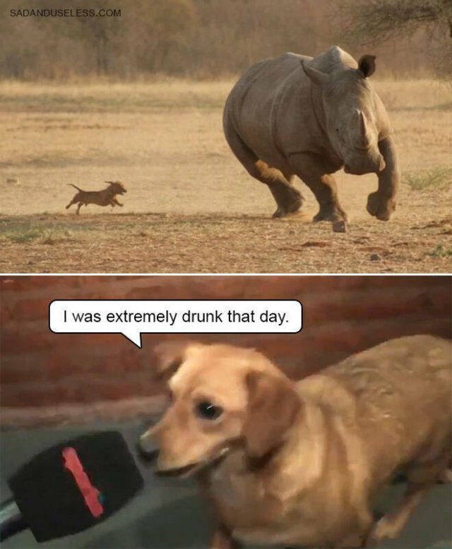 Funny Memes (19 pics)