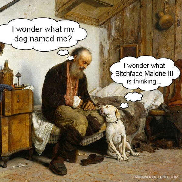 Funny Memes (19 pics)