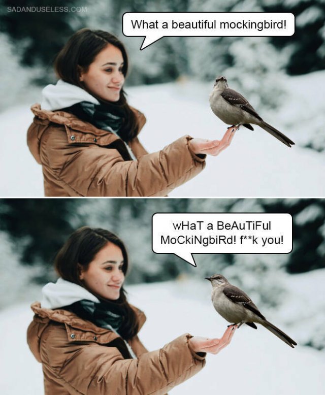 Funny Memes (19 pics)