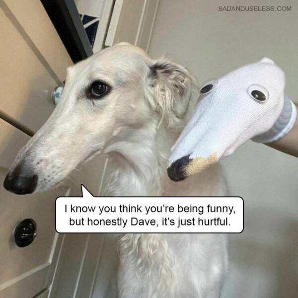 Funny Memes (19 pics)