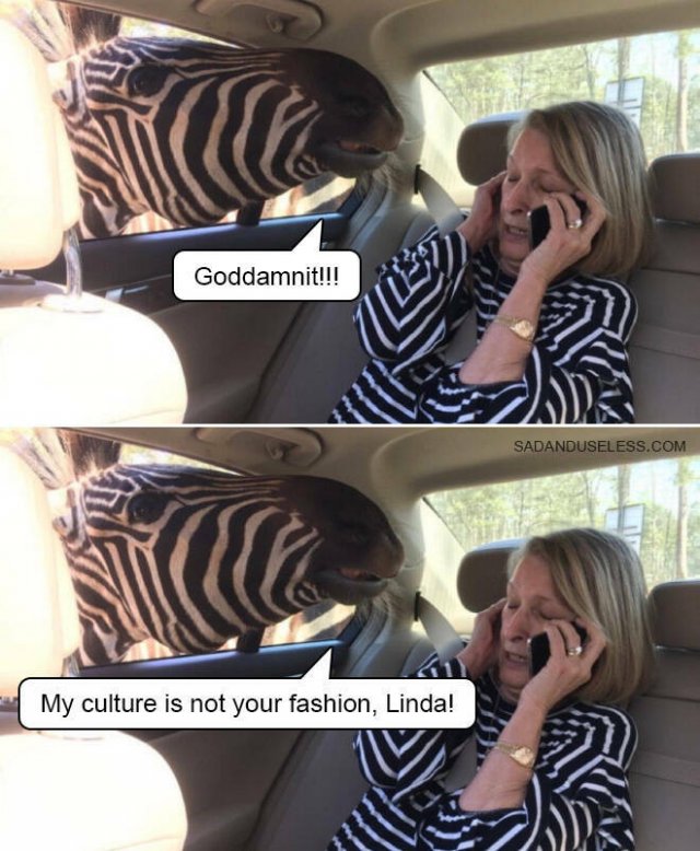 Funny Memes (19 pics)