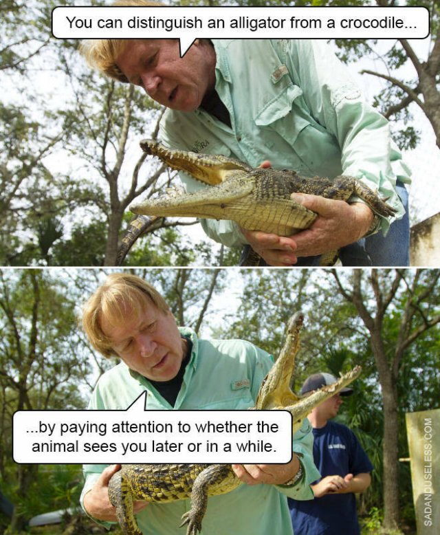 Funny Memes (19 pics)