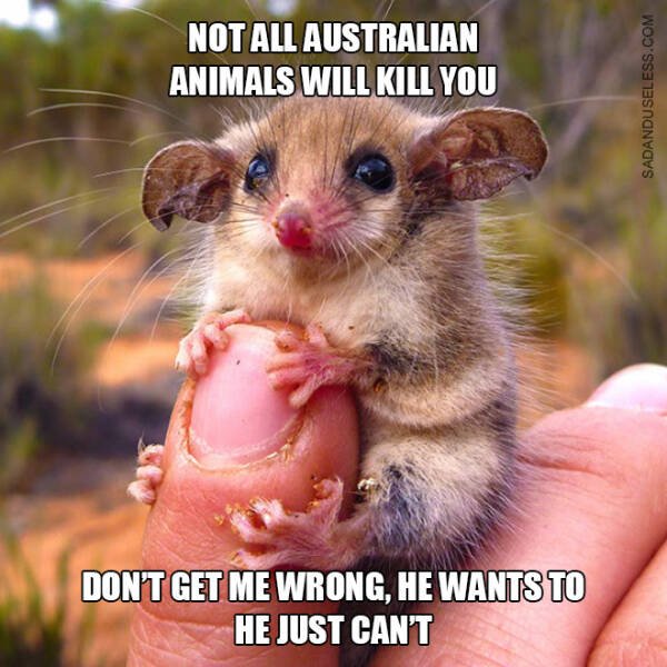 Funny Memes (19 pics)