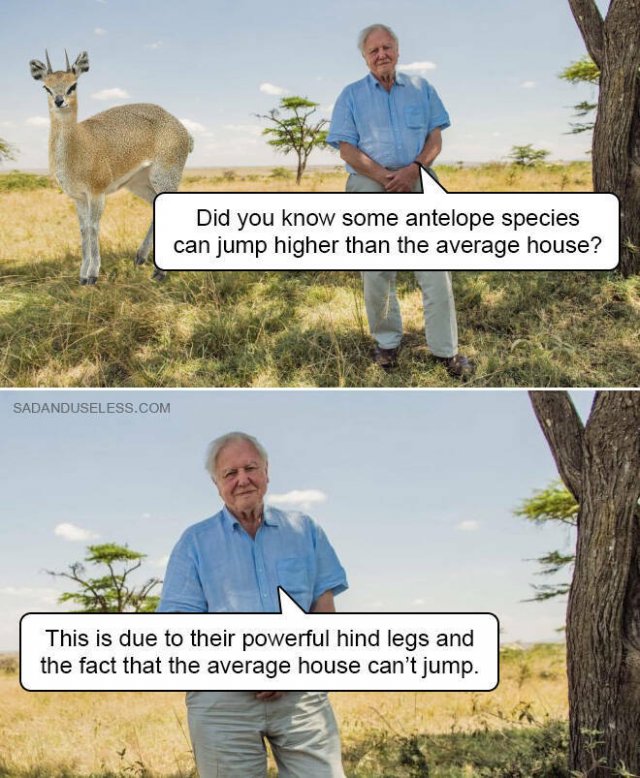 Funny Memes (19 pics)