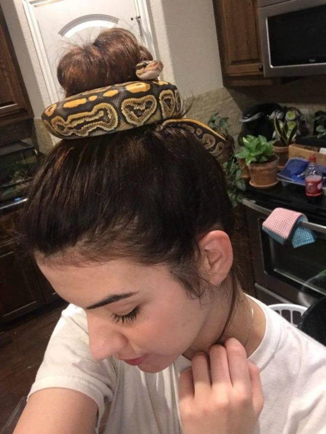 What Is Going On Here? (58 pics)