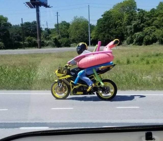 Odd Finds And Situations (49 pics)