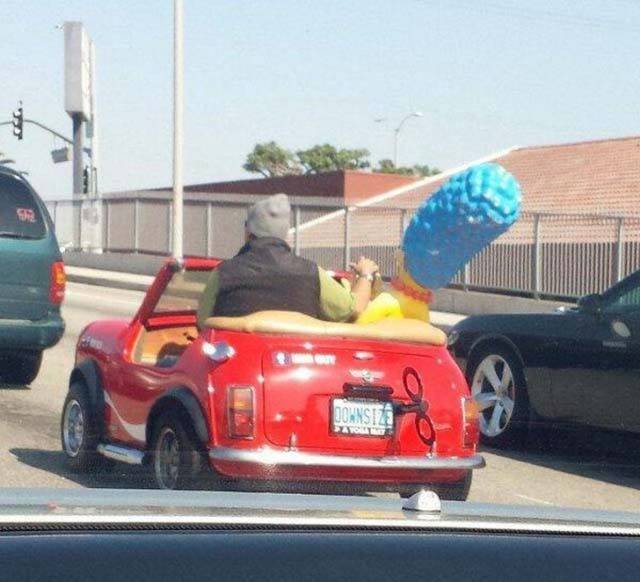 Odd Finds And Situations (49 pics)