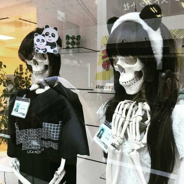 What Is Going On Here? (58 pics)