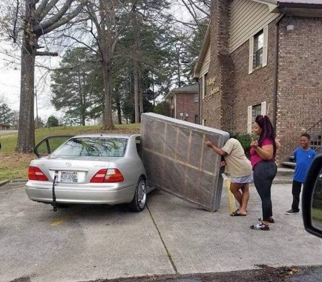 Odd Finds And Situations (49 pics)