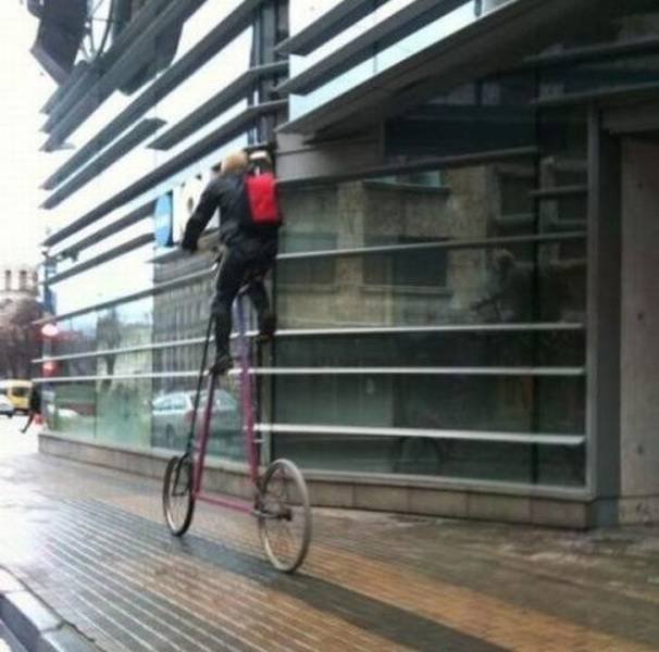 Odd Finds And Situations (49 pics)