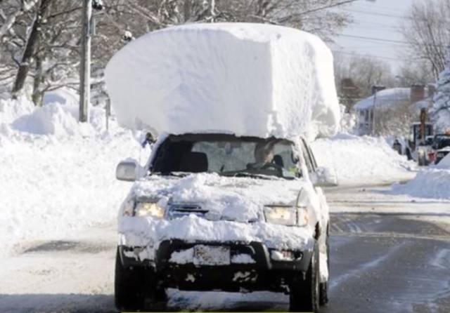 Odd Finds And Situations (49 pics)