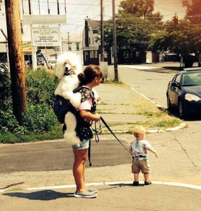 Odd Finds And Situations (49 pics)