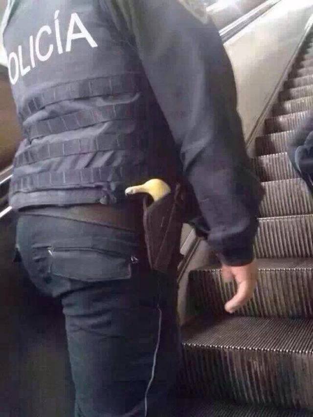 Odd Finds And Situations (49 pics)