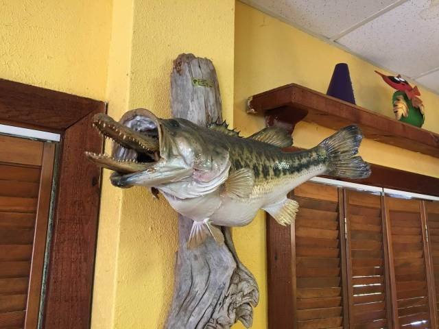 What Is Going On Here? (58 pics)