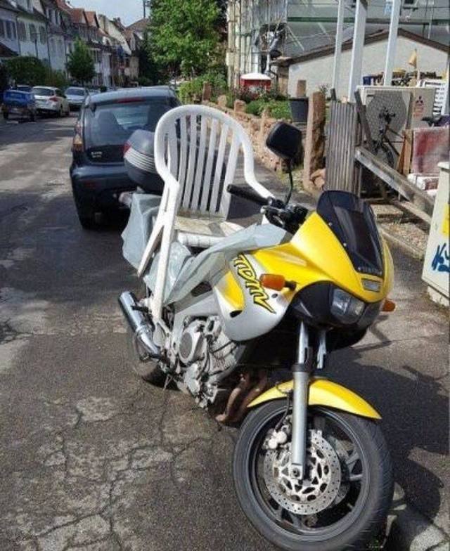 Odd Finds And Situations (49 pics)