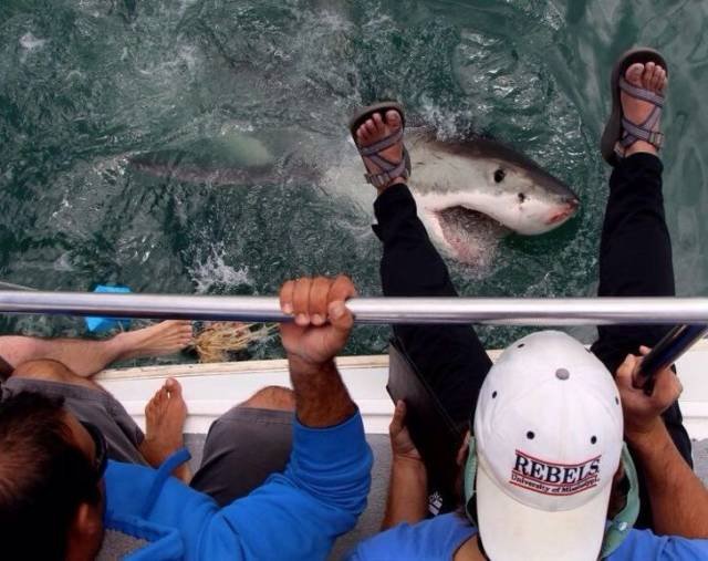 Odd Finds And Situations (49 pics)