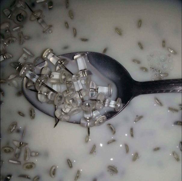 What Is Going On Here? (58 pics)