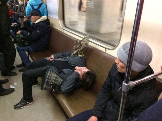 Strange Photos From Russia (40 pics)