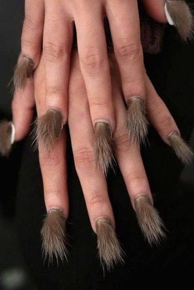 What Is Going On Here? (58 pics)