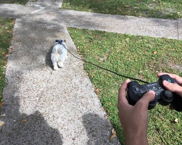 Odd Finds And Situations (49 pics)
